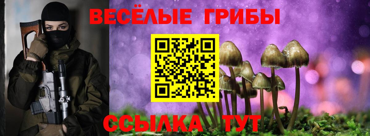 Галлюциногенные грибы Magic Shrooms Карталы