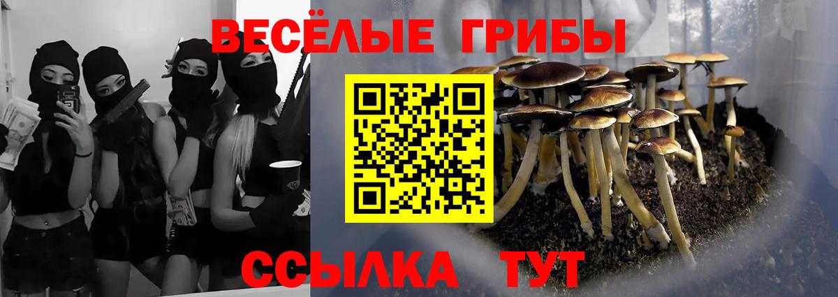 как найти закладки  Галлюциногенные грибы Magic Shrooms  Псилоцибиновые грибы мухоморы  Вход с VPN  Карталы 